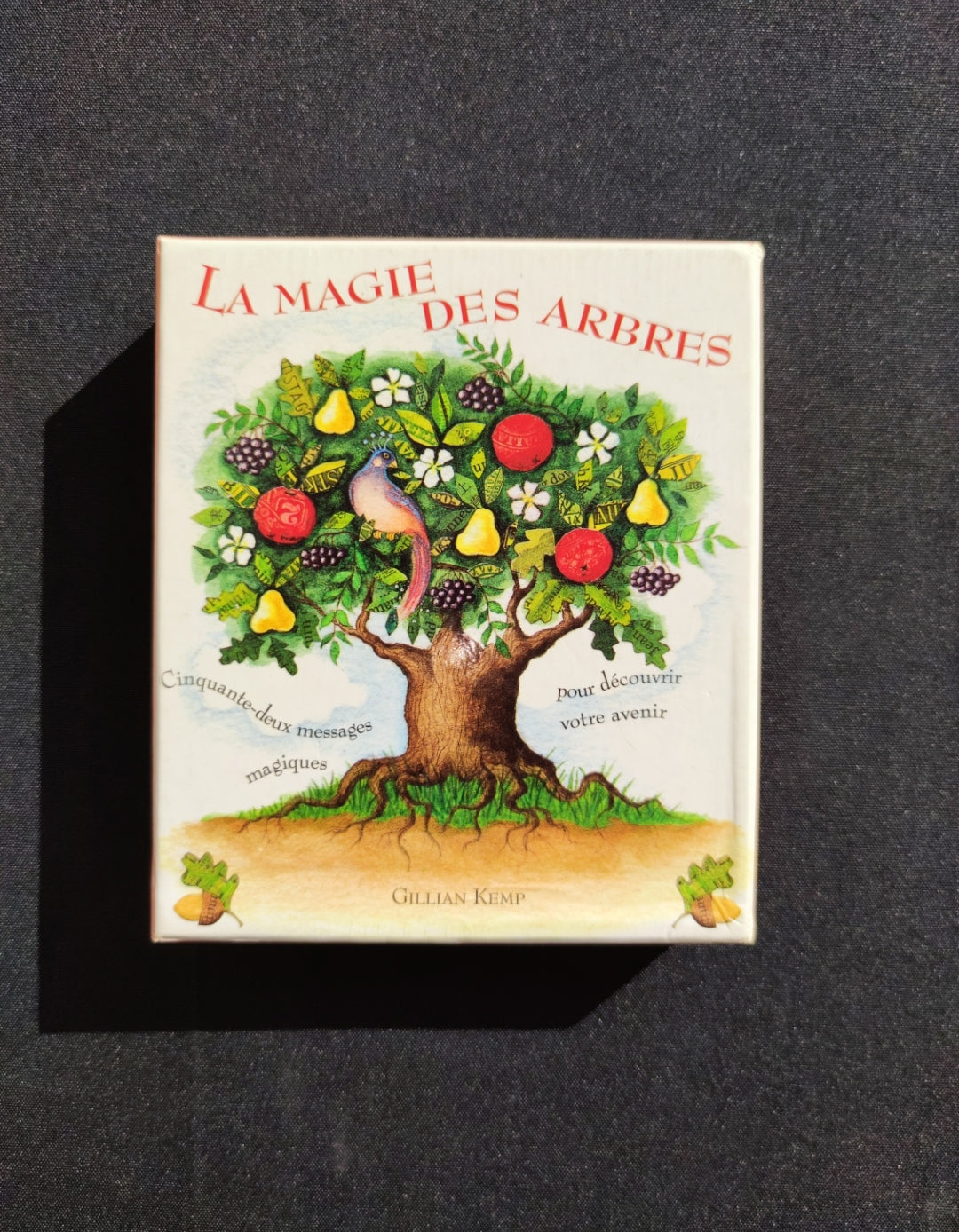 La Magie des Arbres – Oracle Divinatoire Rare 2005 | 52 Cartes + Livret Français | Jeu Ésotérique Nature & Spiritualité