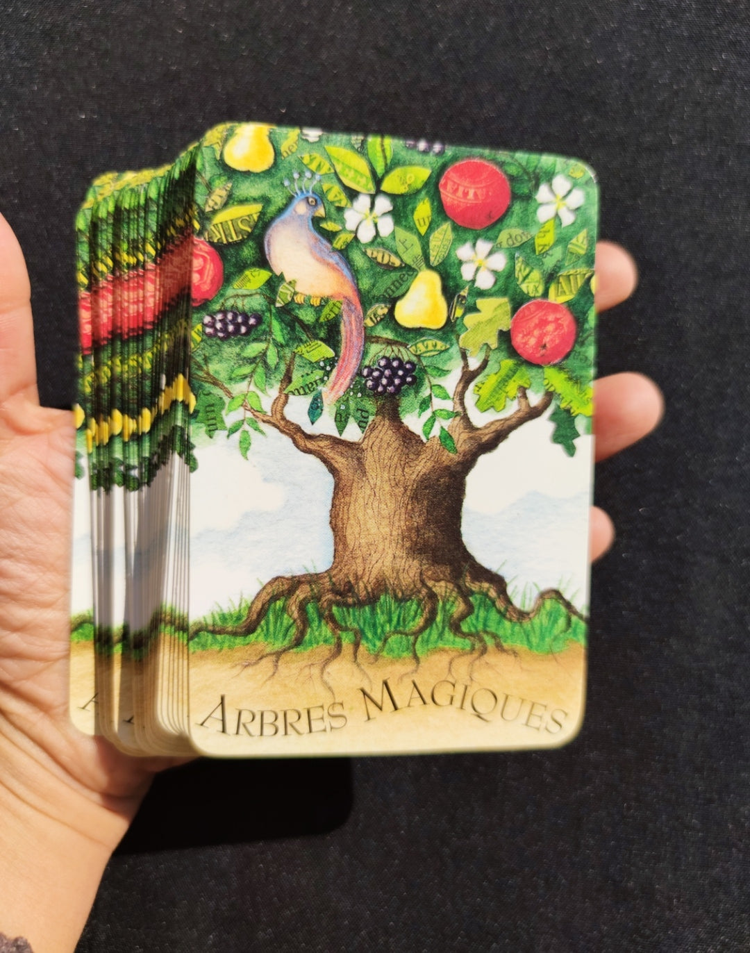 La Magie des Arbres – Oracle Divinatoire Rare 2005 | 52 Cartes + Livret Français | Jeu Ésotérique Nature & Spiritualité
