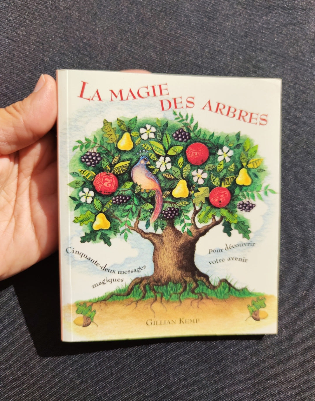 La Magie des Arbres – Oracle Divinatoire Rare 2005 | 52 Cartes + Livret Français | Jeu Ésotérique Nature & Spiritualité