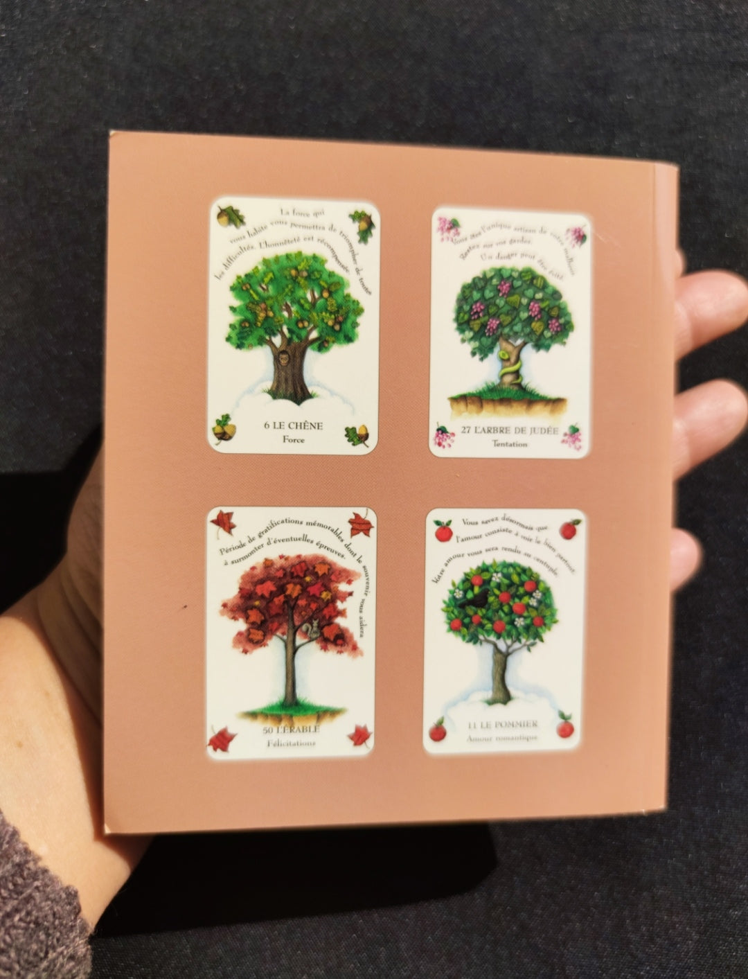 La Magie des Arbres – Oracle Divinatoire Rare 2005 | 52 Cartes + Livret Français | Jeu Ésotérique Nature & Spiritualité