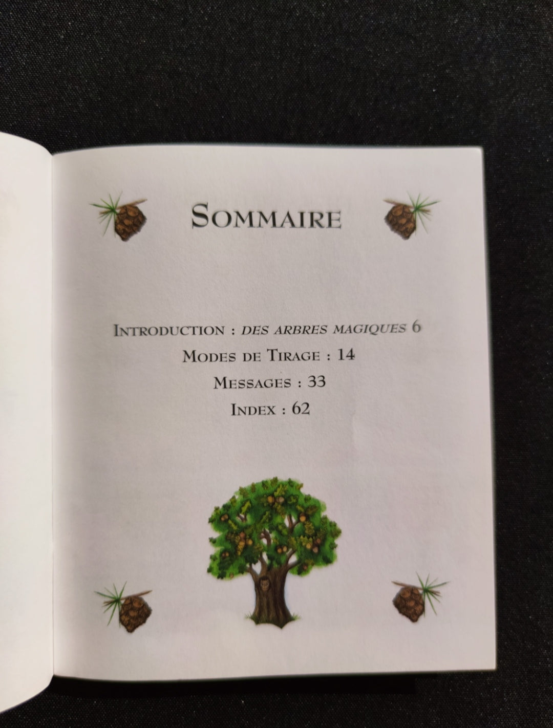La Magie des Arbres – Oracle Divinatoire Rare 2005 | 52 Cartes + Livret Français | Jeu Ésotérique Nature & Spiritualité