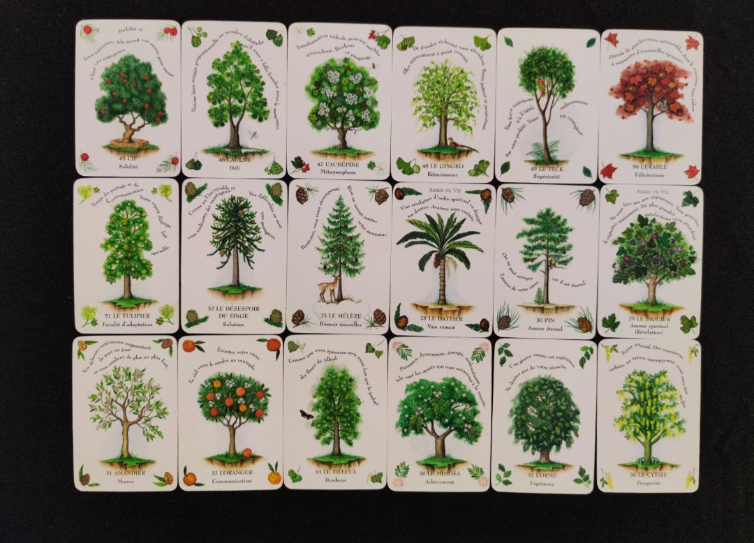 La Magie des Arbres – Oracle Divinatoire Rare 2005 | 52 Cartes + Livret Français | Jeu Ésotérique Nature & Spiritualité