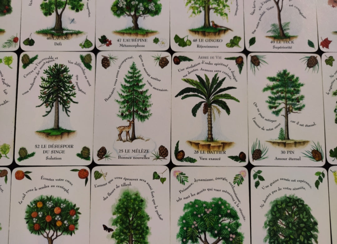 La Magie des Arbres – Oracle Divinatoire Rare 2005 | 52 Cartes + Livret Français | Jeu Ésotérique Nature & Spiritualité