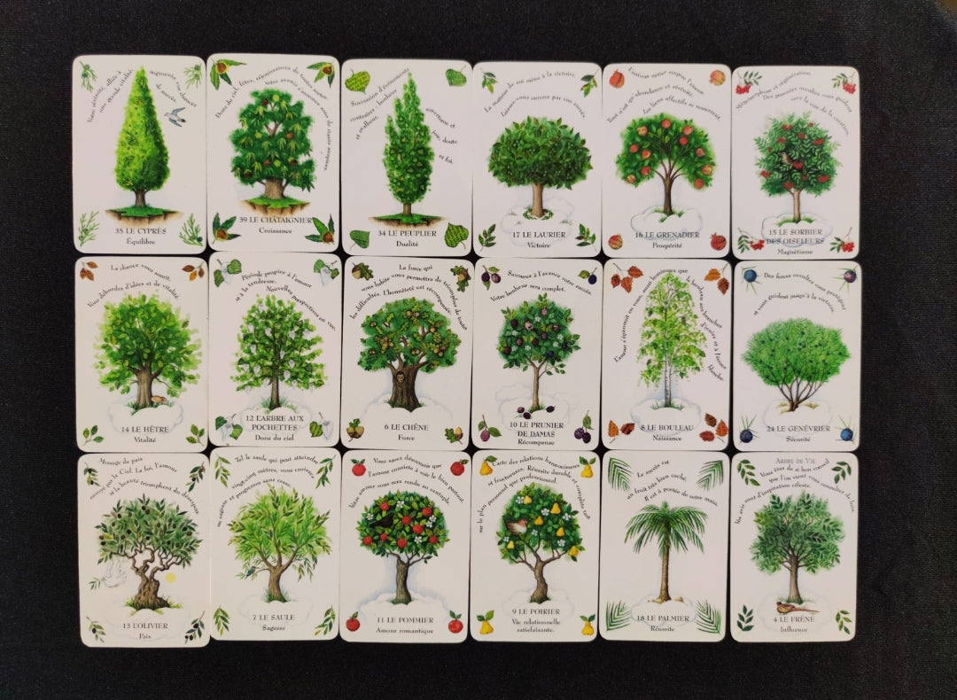 La Magie des Arbres – Oracle Divinatoire Rare 2005 | 52 Cartes + Livret Français | Jeu Ésotérique Nature & Spiritualité