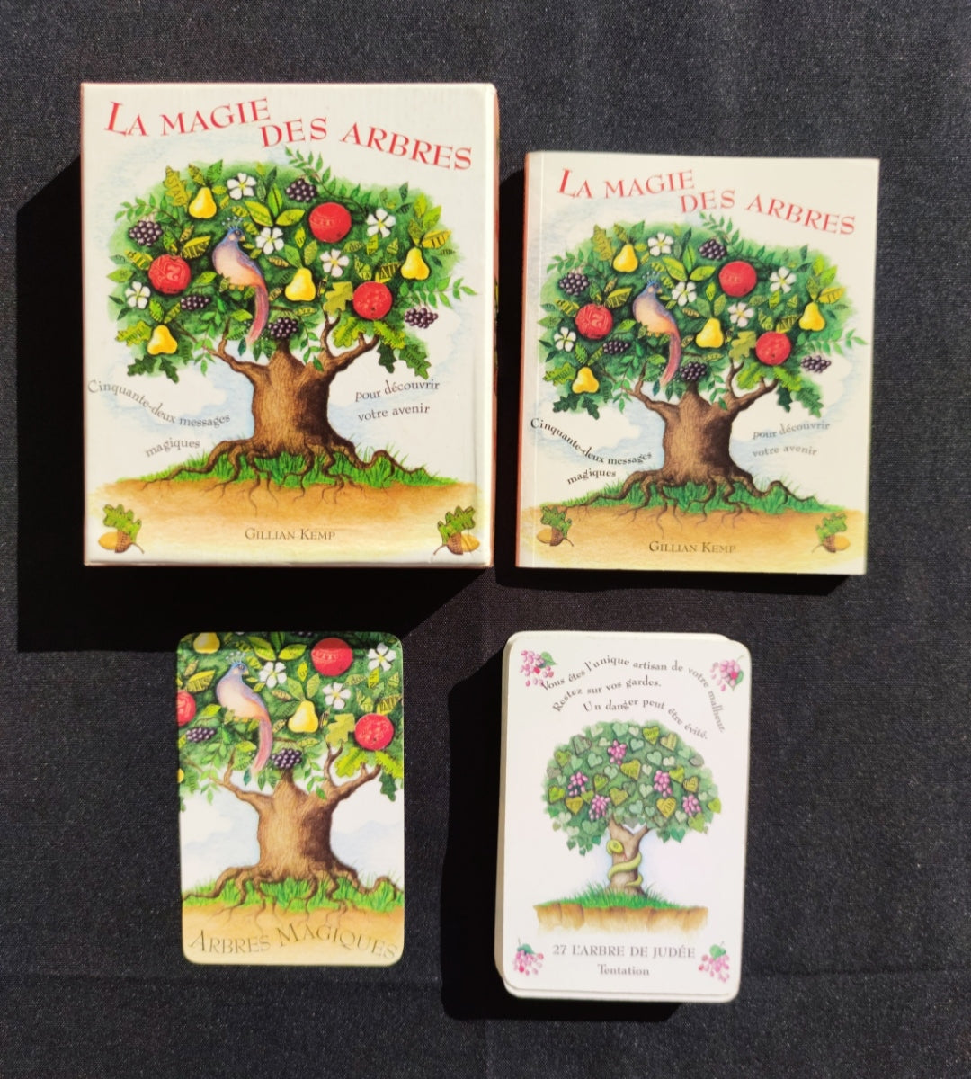 La Magie des Arbres – Oracle Divinatoire Rare 2005 | 52 Cartes + Livret Français | Jeu Ésotérique Nature & Spiritualité