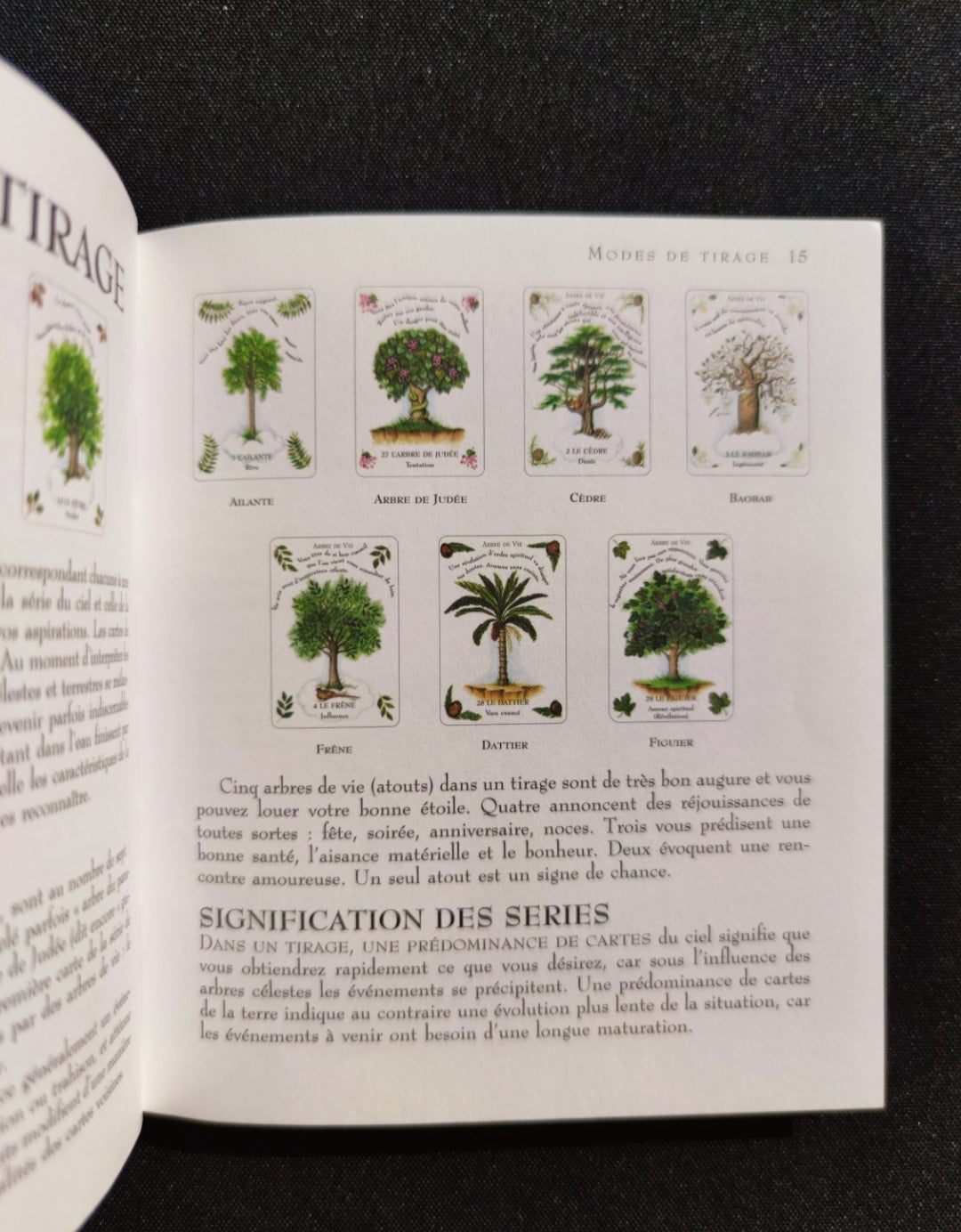 La Magie des Arbres – Oracle Divinatoire Rare 2005 | 52 Cartes + Livret Français | Jeu Ésotérique Nature & Spiritualité