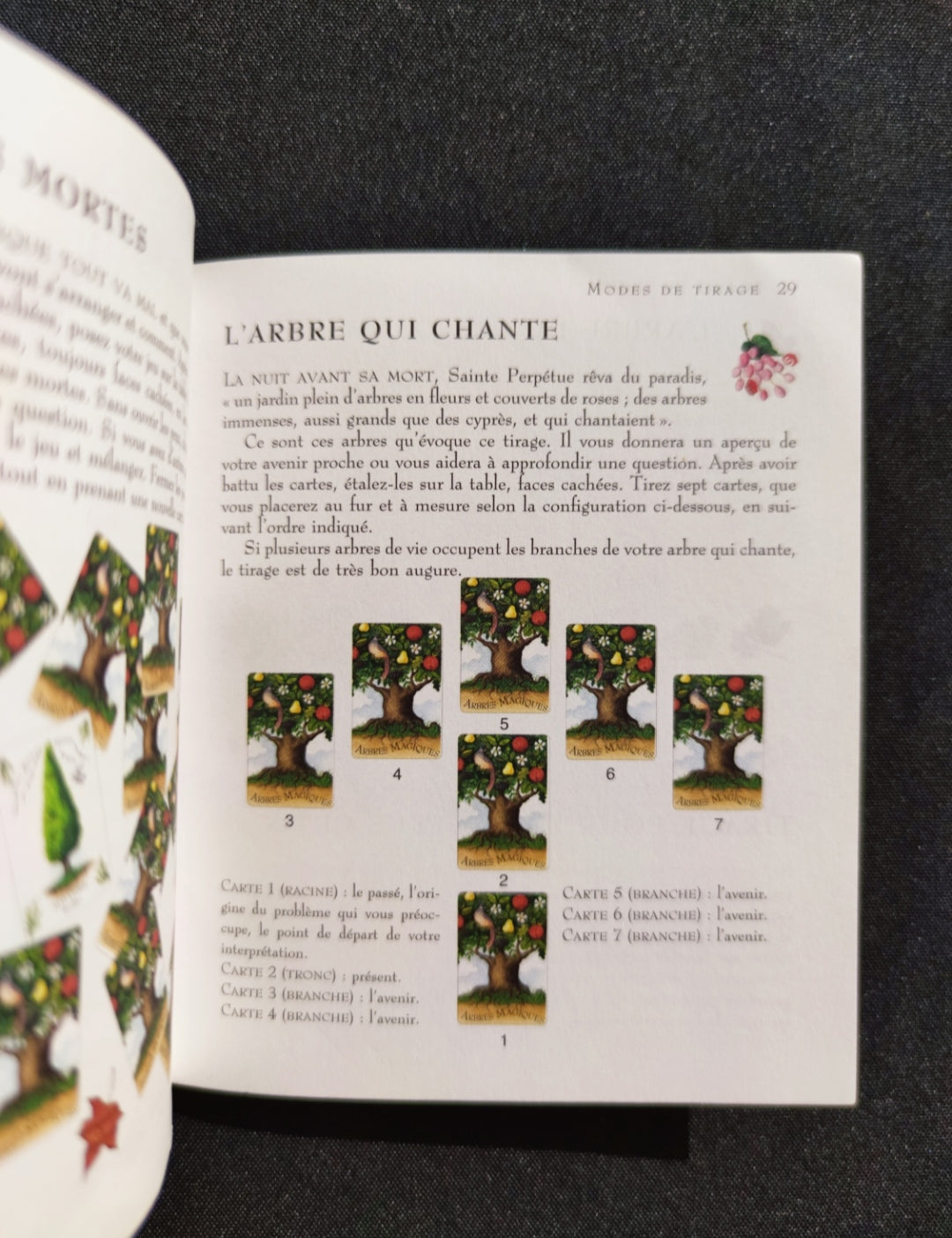 La Magie des Arbres – Oracle Divinatoire Rare 2005 | 52 Cartes + Livret Français | Jeu Ésotérique Nature & Spiritualité