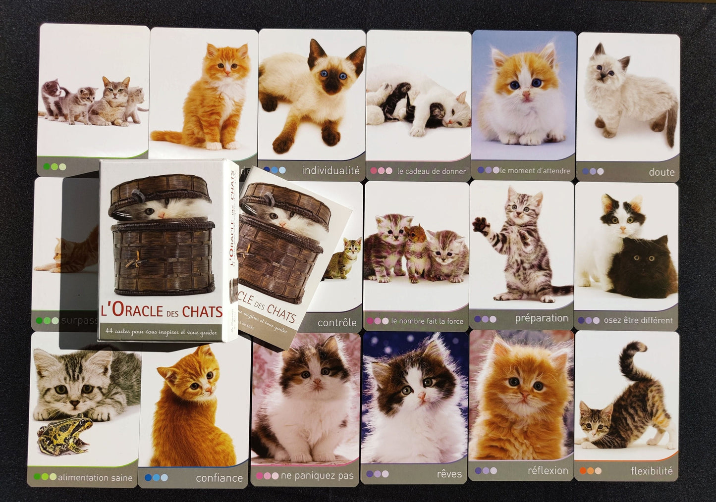 Cat Wisdom 2010-gift-divination-cartomancy-clairvoyance-fortune telling-tarot deck-esotericism-divinatory guidance-prediction