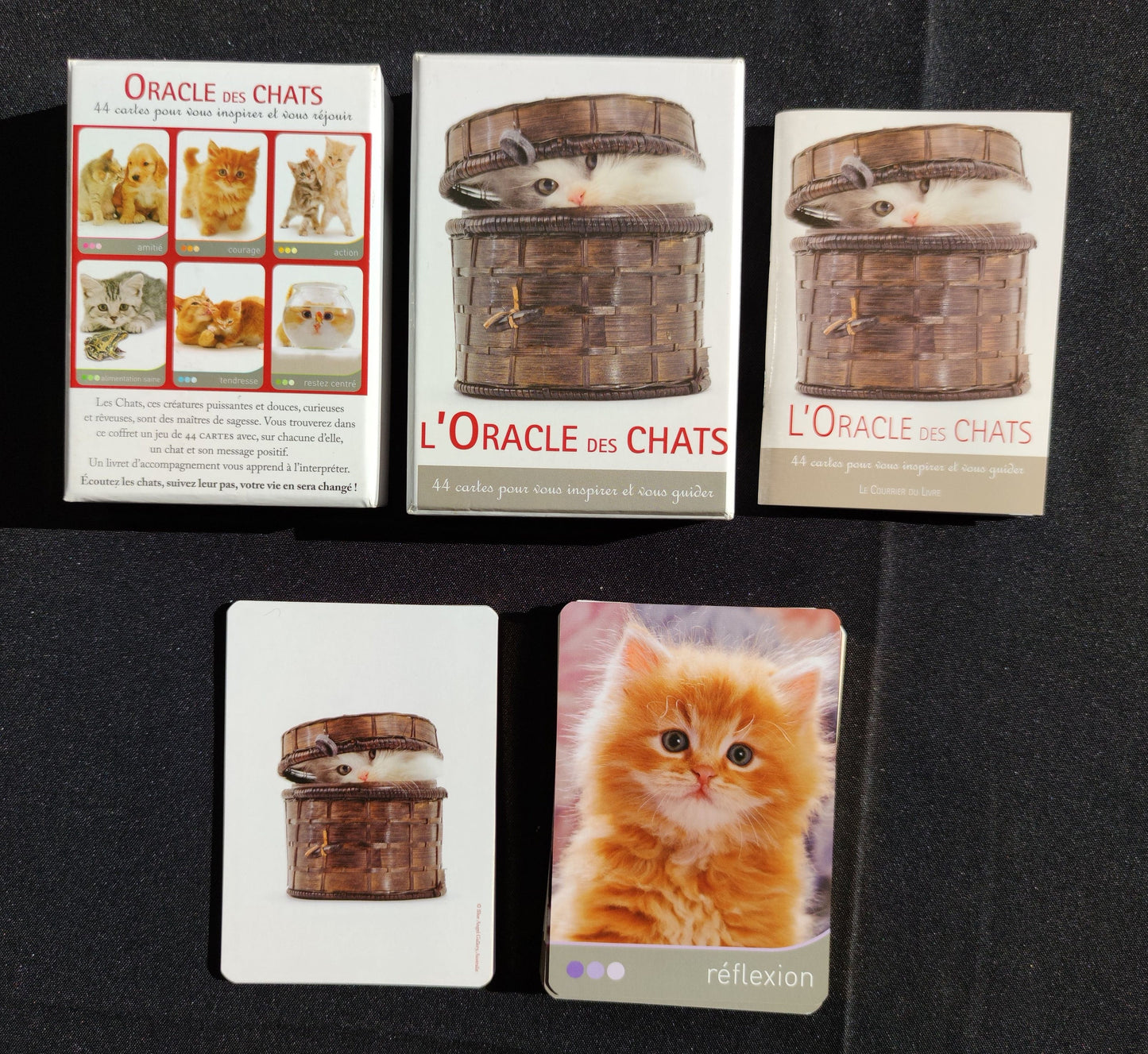 Cat Wisdom 2010-gift-divination-cartomancy-clairvoyance-fortune telling-tarot deck-esotericism-divinatory guidance-prediction