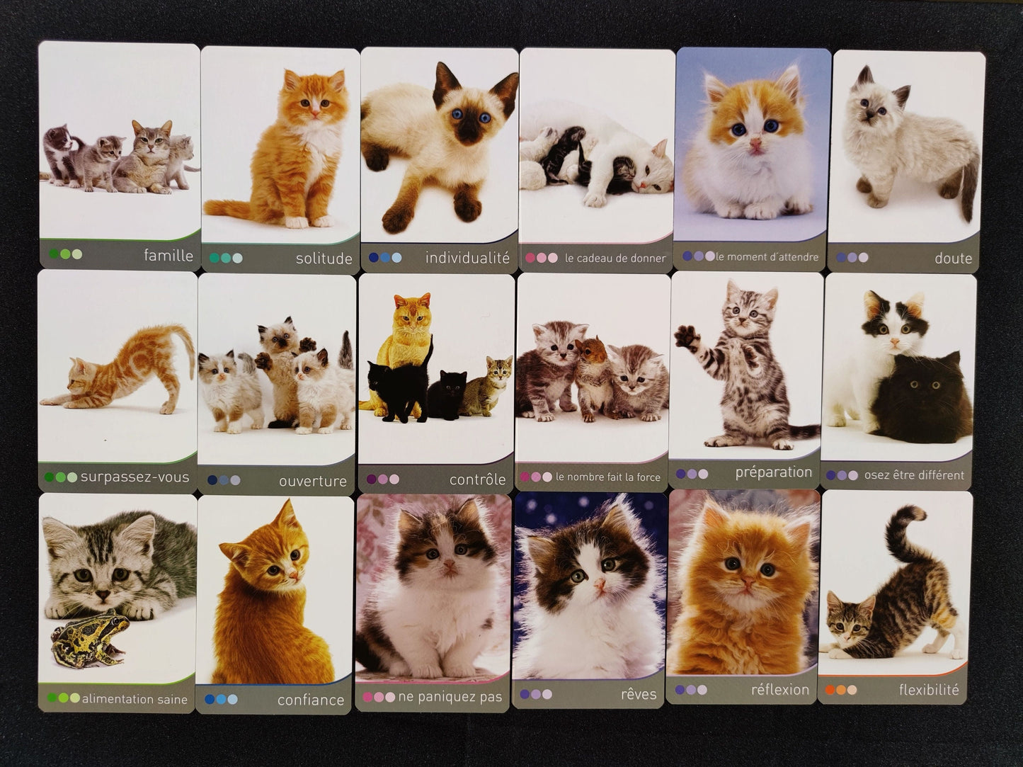 Cat Wisdom 2010-gift-divination-cartomancy-clairvoyance-fortune telling-tarot deck-esotericism-divinatory guidance-prediction