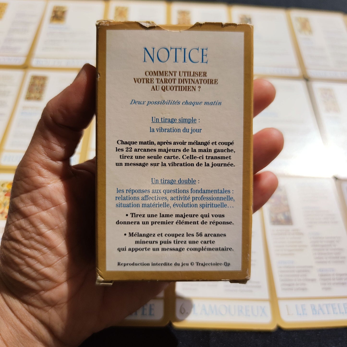 Daily divinatory tarot 2006 Gift -Divination -Cartomancy -Clairvoyance -Fortune telling -Tarot deck -Esotericism