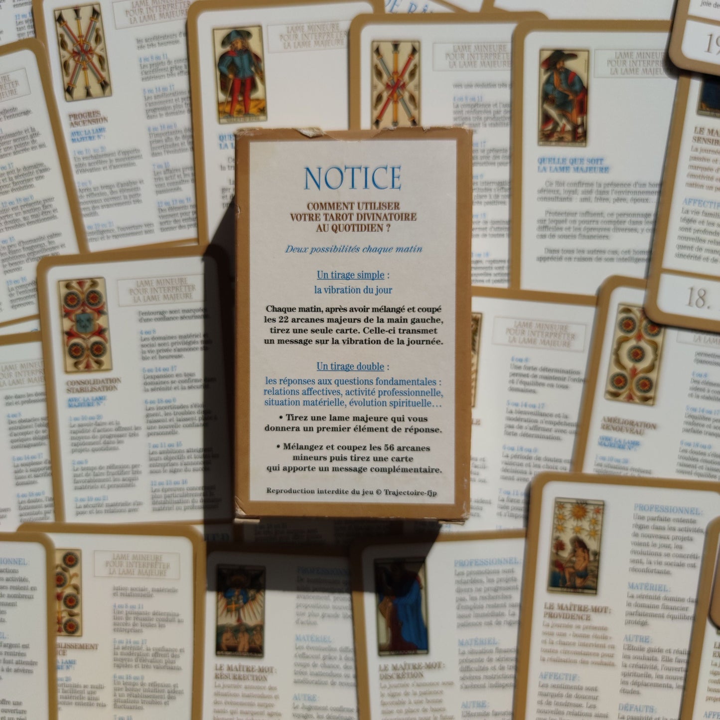 Daily divinatory tarot 2006 Gift -Divination -Cartomancy -Clairvoyance -Fortune telling -Tarot deck -Esotericism