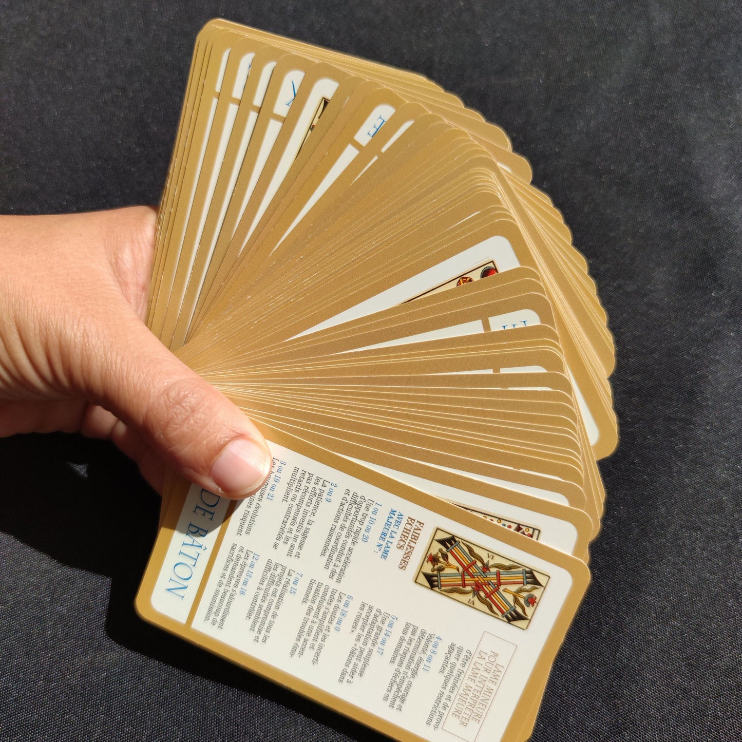 Daily divinatory tarot 2006 Gift -Divination -Cartomancy -Clairvoyance -Fortune telling -Tarot deck -Esotericism