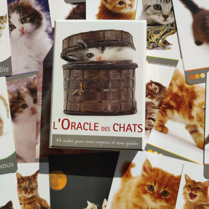 Oracle des Chats – Jeu Divinatoire Rare (2010) en Français avec Cartes et Livret Complet