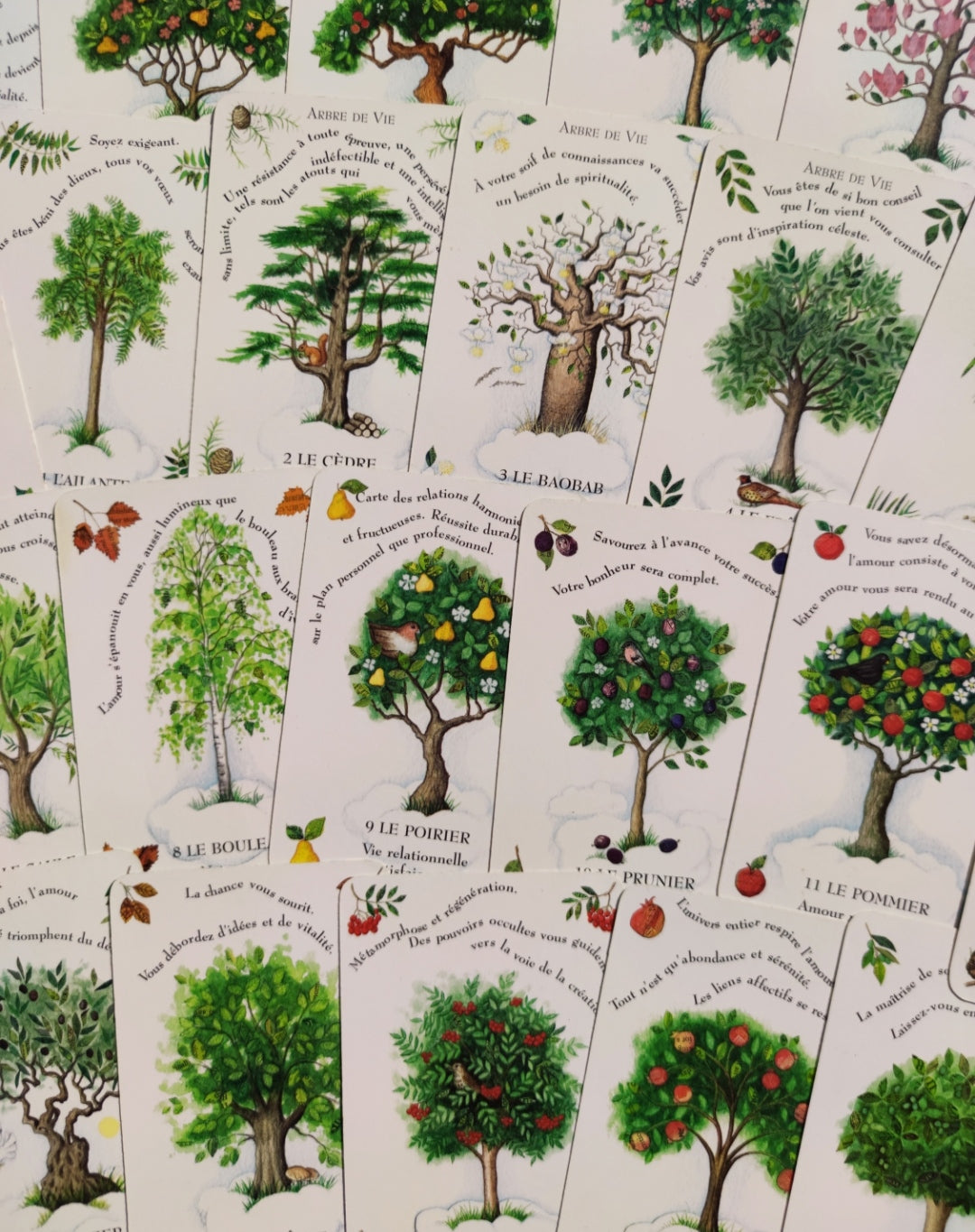 La Magie des Arbres – Oracle Divinatoire Rare 2005 | 52 Cartes + Livret Français | Jeu Ésotérique Nature & Spiritualité