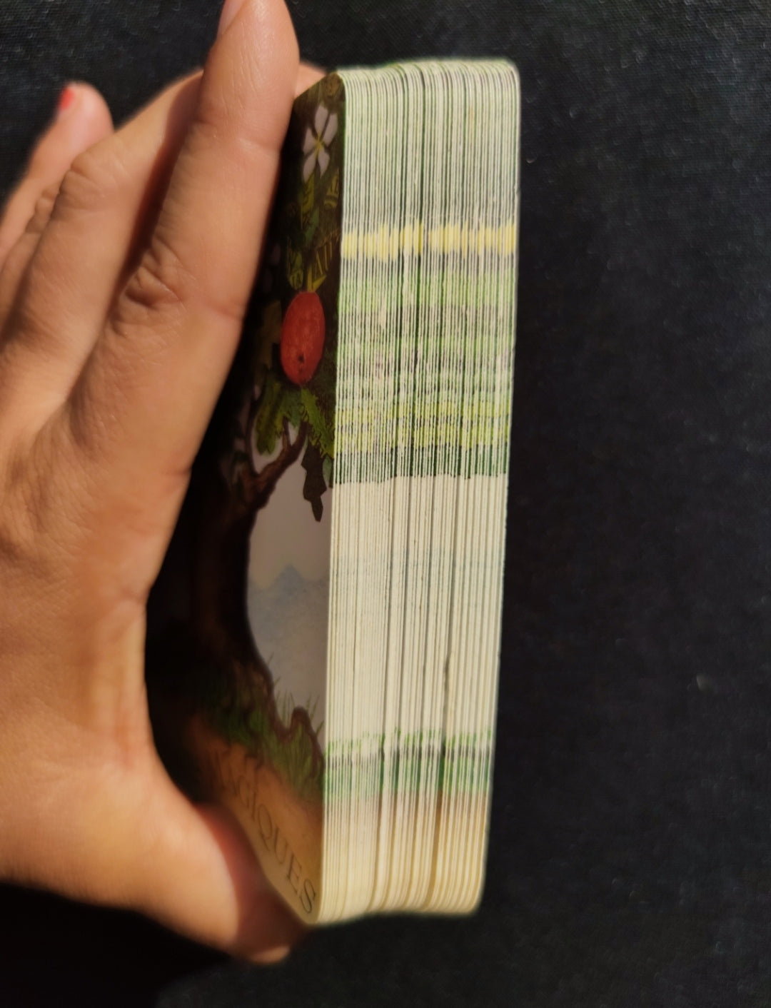 La Magie des Arbres – Oracle Divinatoire Rare 2005 | 52 Cartes + Livret Français | Jeu Ésotérique Nature & Spiritualité