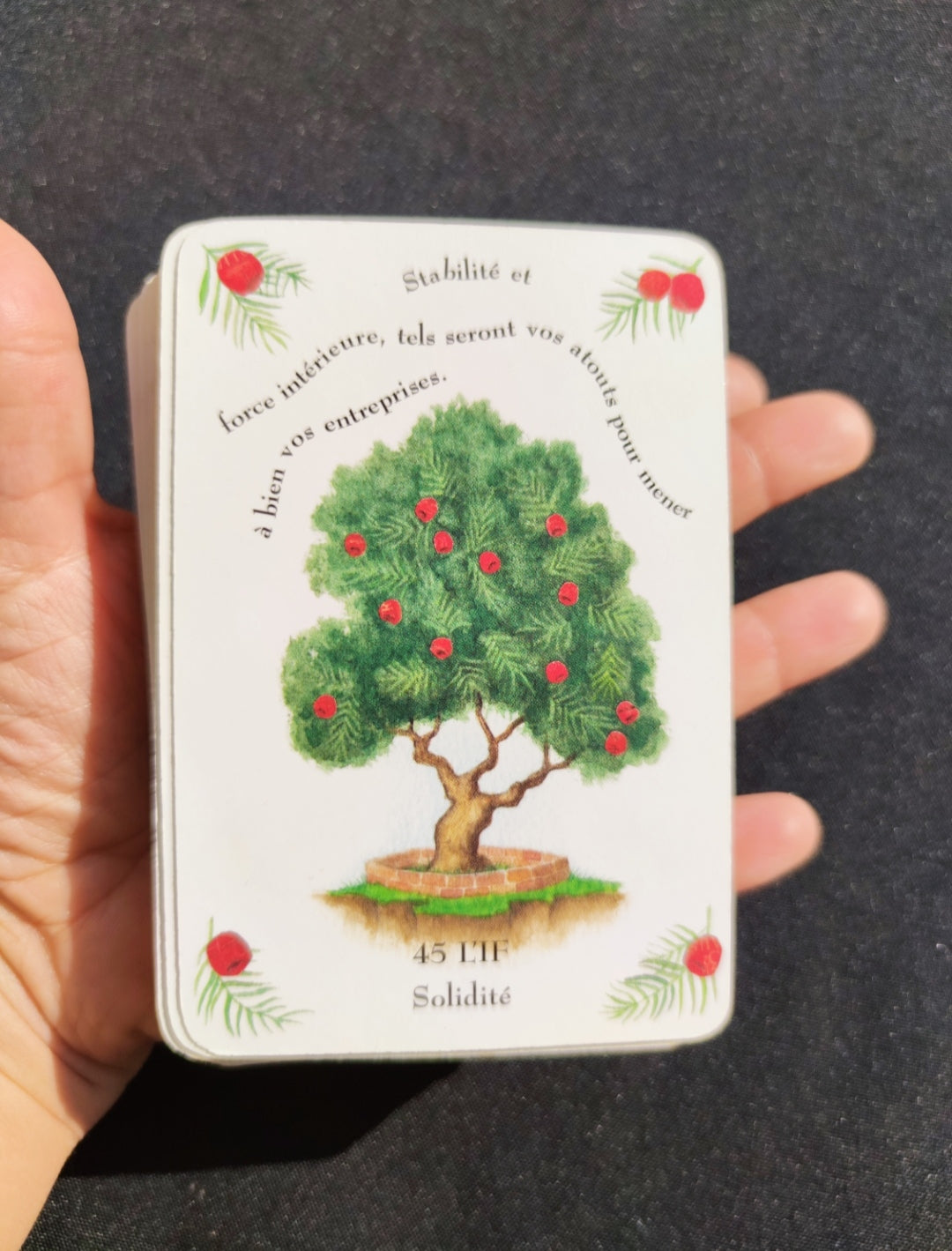 La Magie des Arbres – Oracle Divinatoire Rare 2005 | 52 Cartes + Livret Français | Jeu Ésotérique Nature & Spiritualité