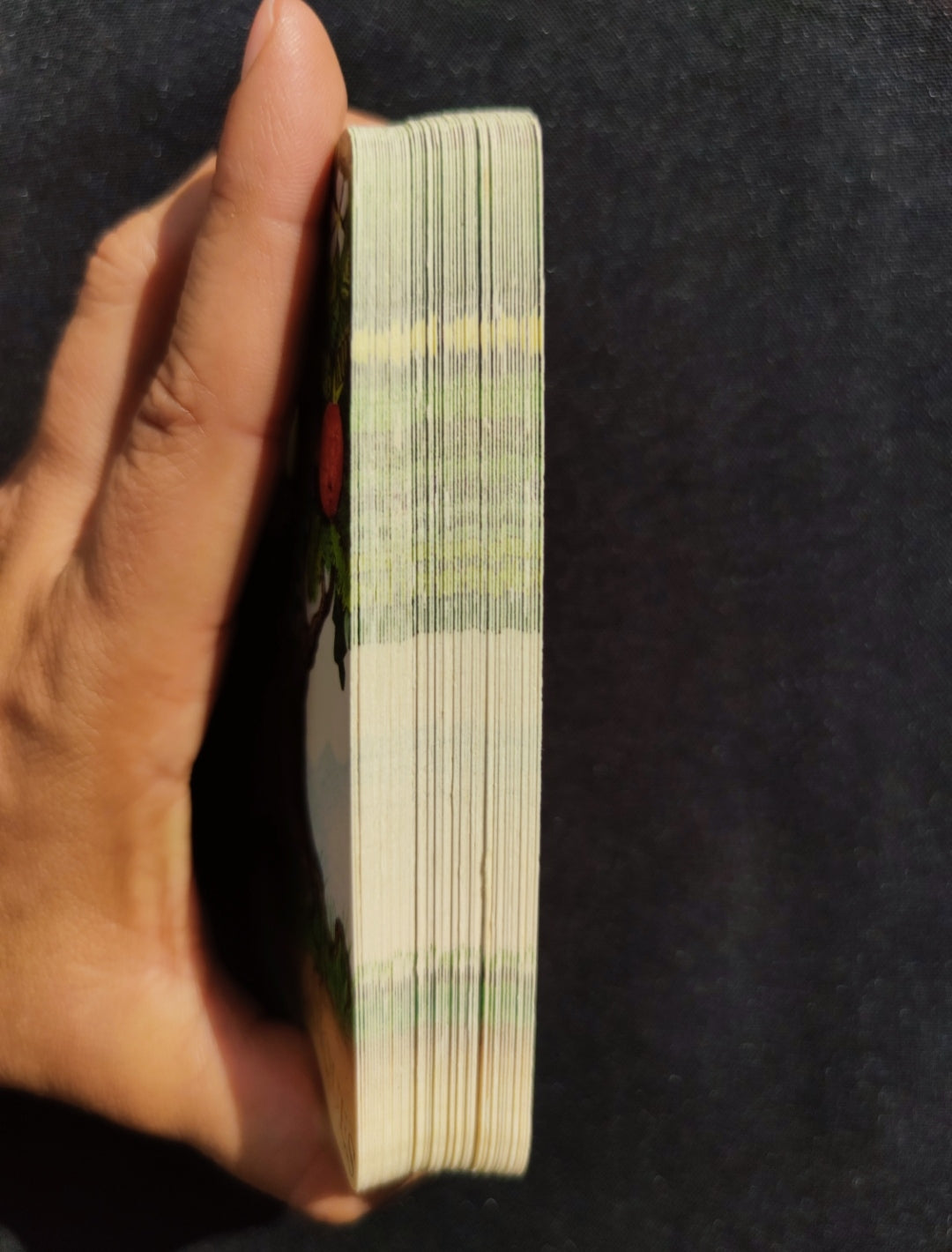 La Magie des Arbres – Oracle Divinatoire Rare 2005 | 52 Cartes + Livret Français | Jeu Ésotérique Nature & Spiritualité