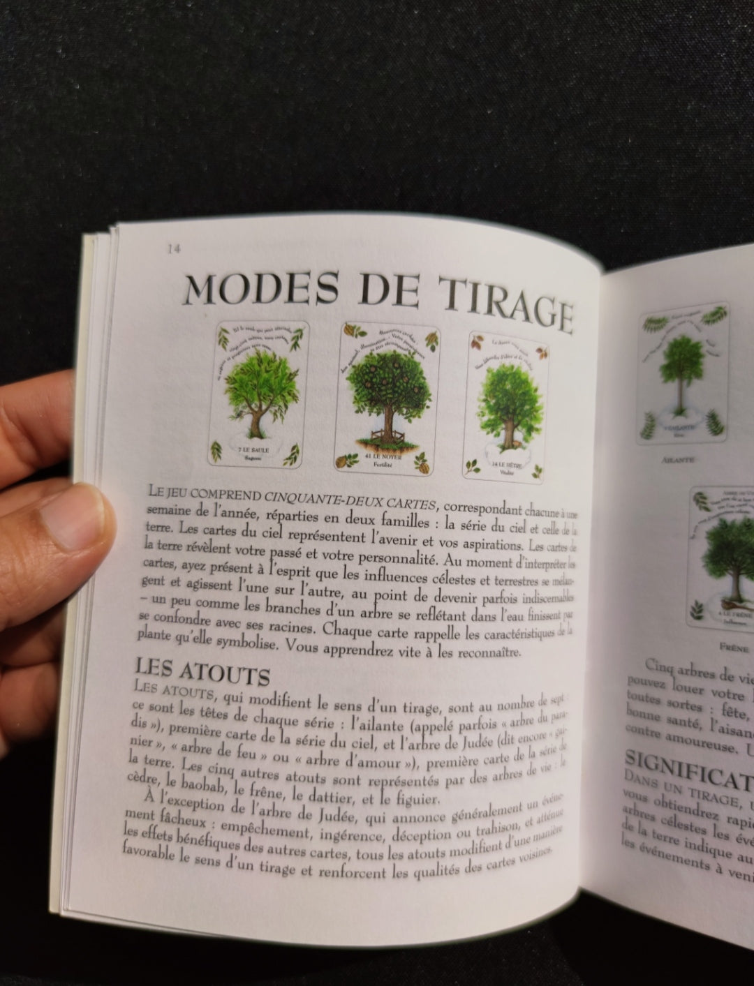 La Magie des Arbres – Oracle Divinatoire Rare 2005 | 52 Cartes + Livret Français | Jeu Ésotérique Nature & Spiritualité