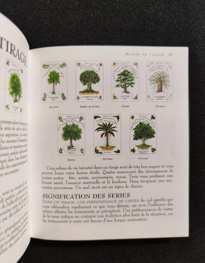 La Magie des Arbres – Oracle Divinatoire Rare 2005 | 52 Cartes + Livret Français | Jeu Ésotérique Nature & Spiritualité