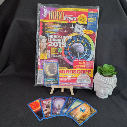 Oracle de la Lune Blanche – Vous et Votre Avenir n°72 – 2015