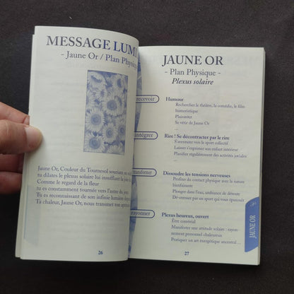 Oracle des Couleurs – Édition Originale 2000 de Marie-France Lecoutre – Jeu Divinatoire Rare et Complet, Marie-France - 2000