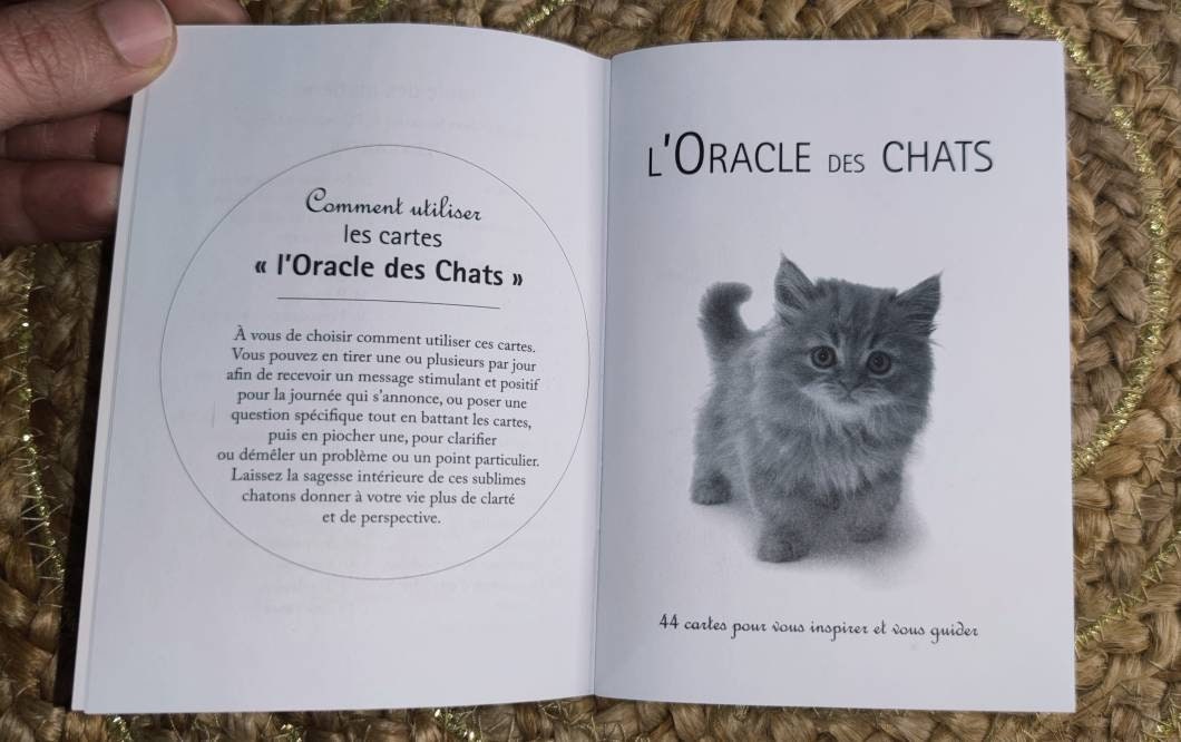 Cat Wisdom 2010-gift-divination-cartomancy-clairvoyance-fortune telling-tarot deck-esotericism-divinatory guidance-prediction