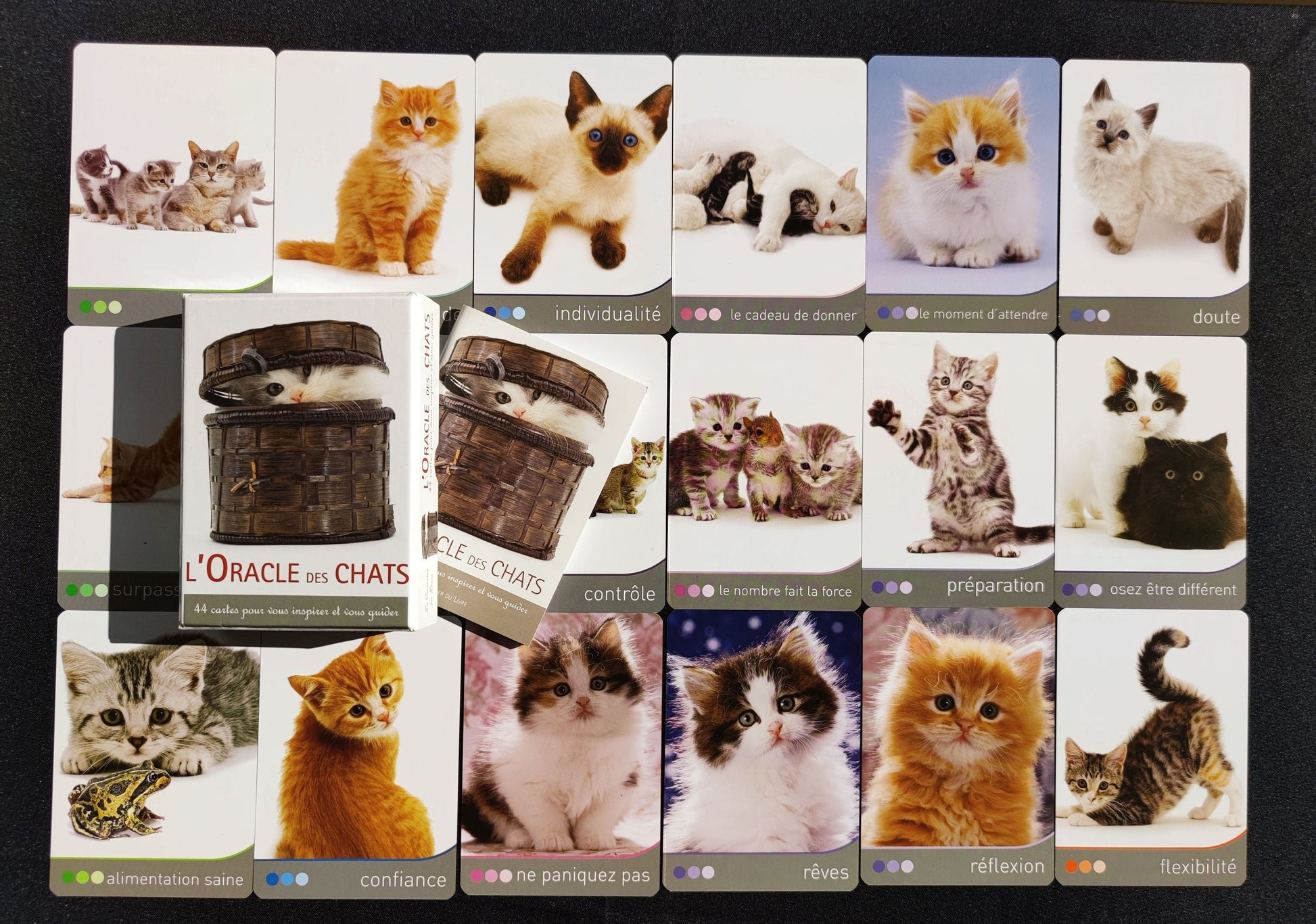 Cat Wisdom 2010-gift-divination-cartomancy-clairvoyance-fortune telling-tarot deck-esotericism-divinatory guidance-prediction