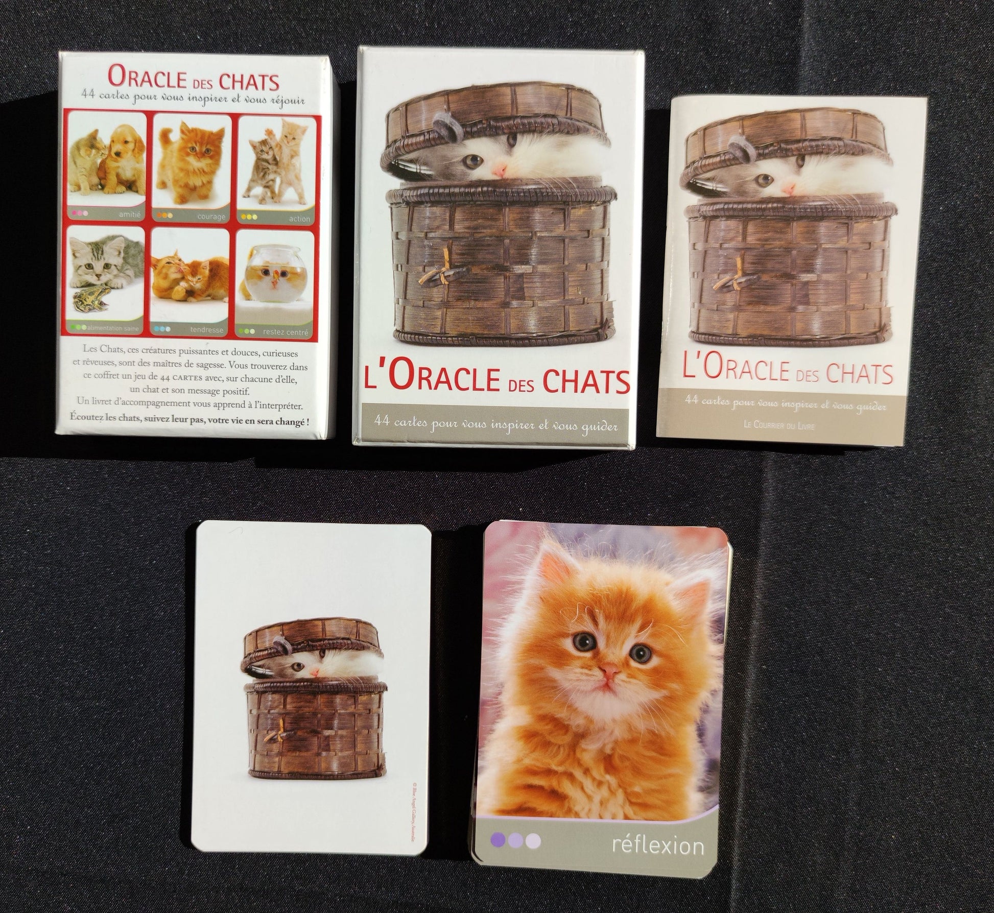 Cat Wisdom 2010-gift-divination-cartomancy-clairvoyance-fortune telling-tarot deck-esotericism-divinatory guidance-prediction