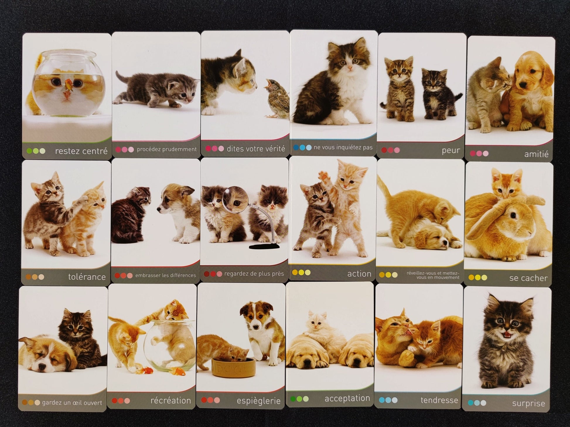 Cat Wisdom 2010-gift-divination-cartomancy-clairvoyance-fortune telling-tarot deck-esotericism-divinatory guidance-prediction