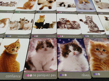 Cat Wisdom 2010-gift-divination-cartomancy-clairvoyance-fortune telling-tarot deck-esotericism-divinatory guidance-prediction