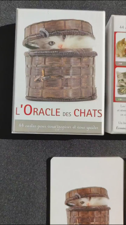Oracle des Chats – Jeu Divinatoire Rare (2010) en Français avec Cartes et Livret Complet